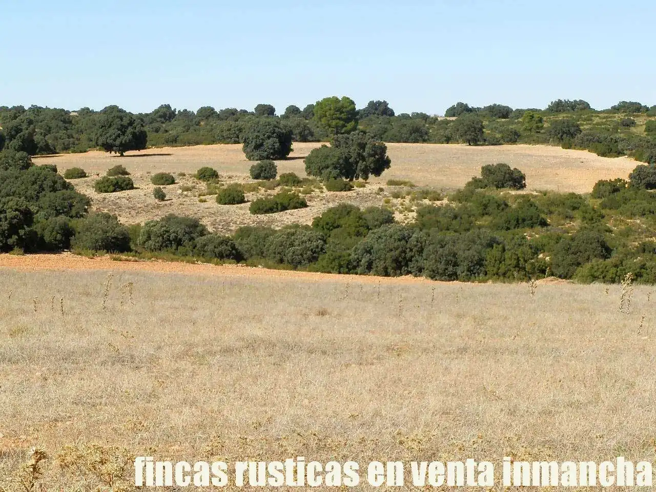 Terreno en venta en Albacete