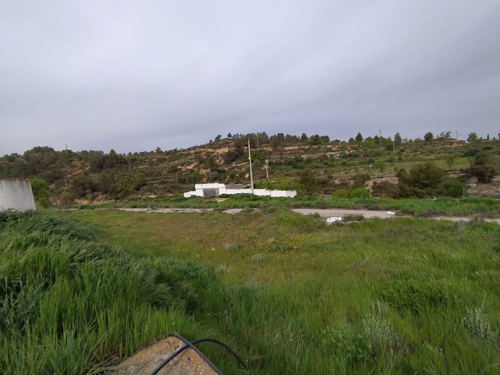 Land for sale in La Pobla de Cérvoles