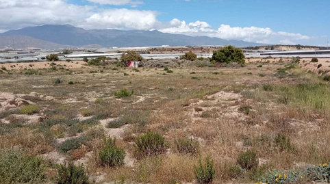 Photo 4 of Residential for sale in De Salamanca, Balerma, Almería