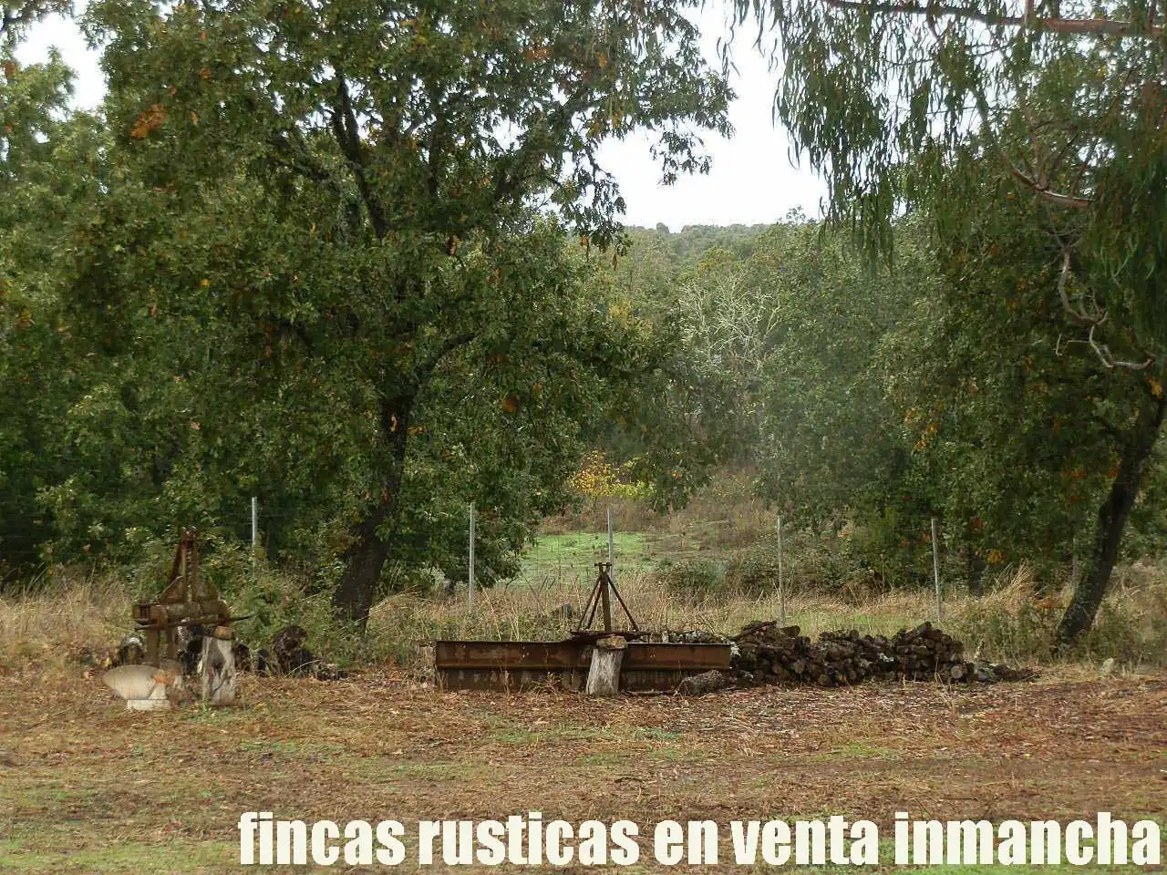 Land for sale in Abenójar