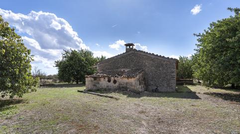 Foto 3 de Residencial en venta en Binissalem, Illes Balears