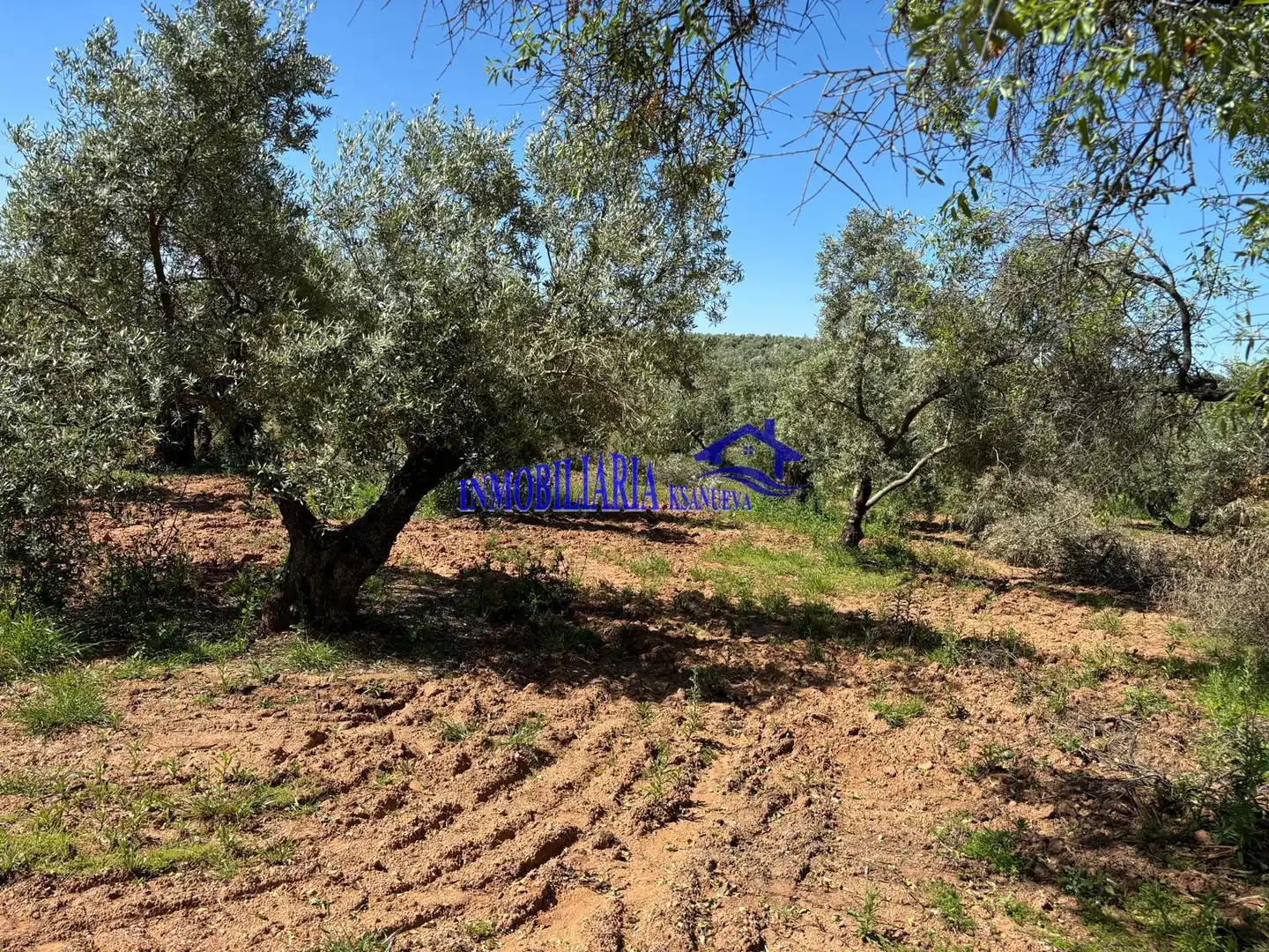 Casa rústica en venta en Montoro, imagen 31