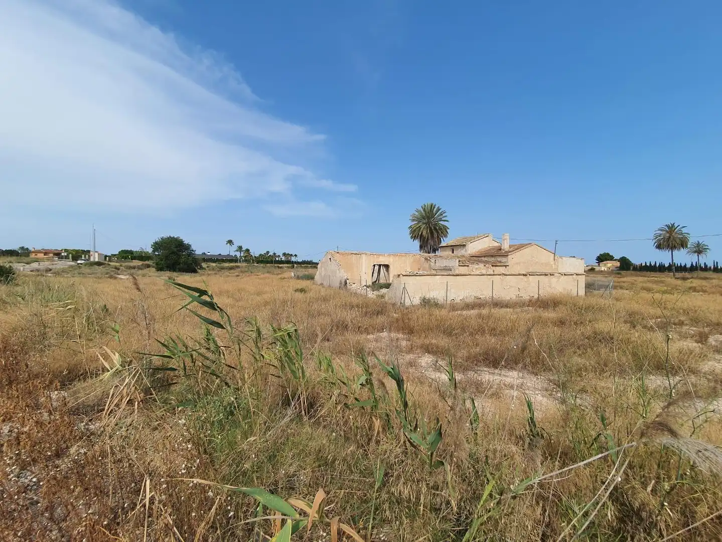 Terrain rustique à vendre à Elche ciudad, imagen 6