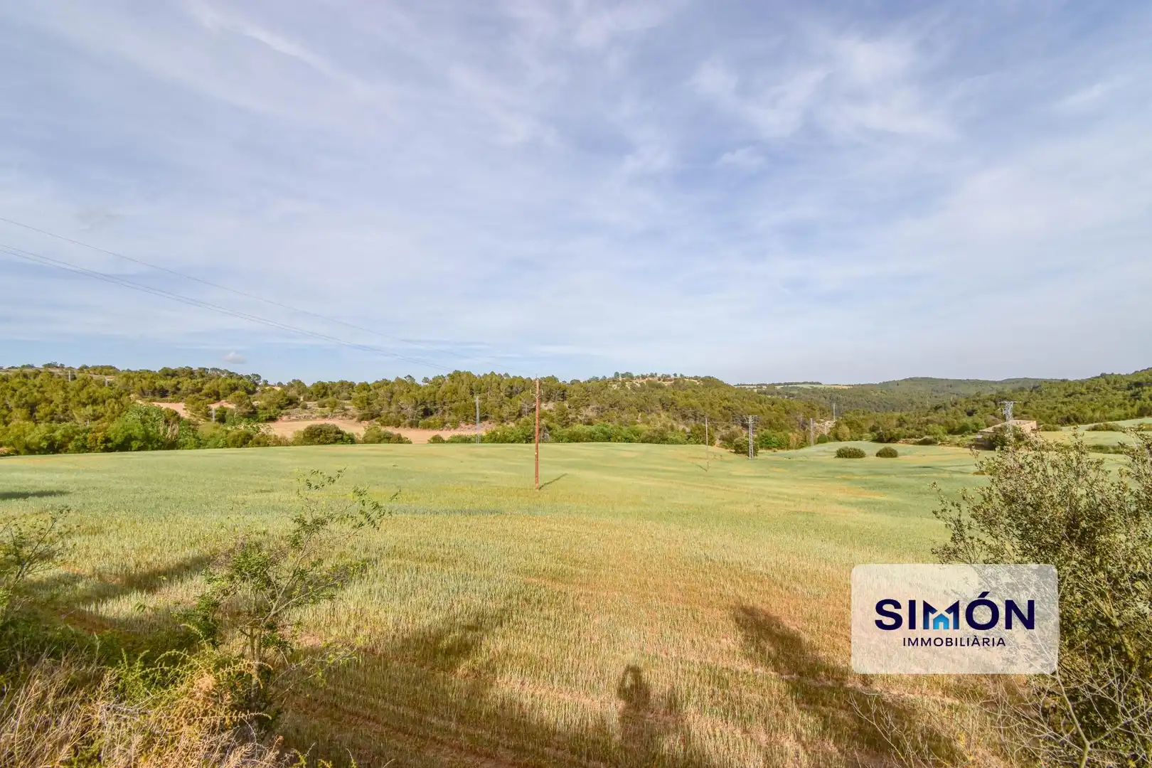 Finca rústica en venta en Veciana