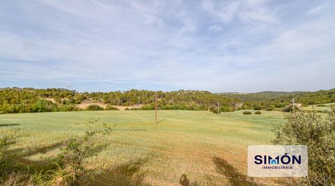 Foto 2 de Finca rústica en venda a Veciana, Barcelona