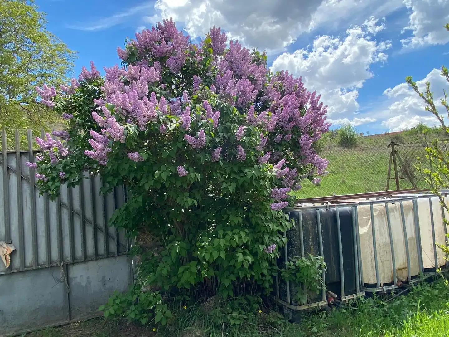 Jardín de Terreno en venta en Escopete