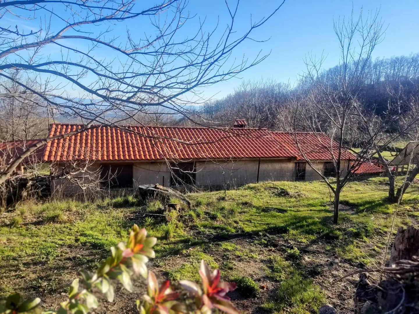 Exterior view of Country homes for sale in Guijo de Santa Bárbara