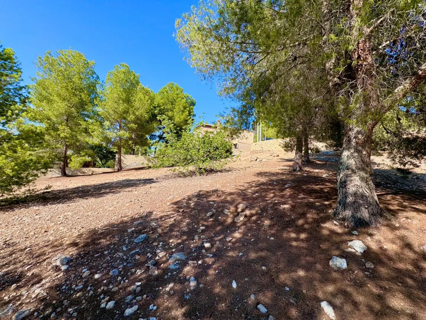 Terreny residencial en venda a Calle PICOS D EUROPA-STO DOMING 58, imagen 9