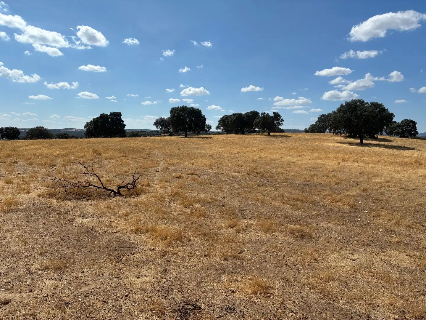 Terreno rustico in vendita a Mohedas de la Jara, imagen 6