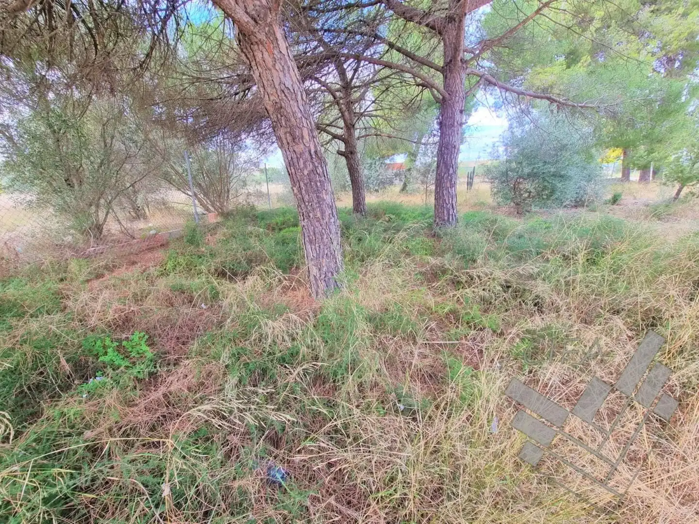 Terreno rustico in vendita a PAPA JUAN XXIII, imagen 20