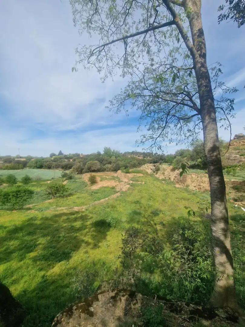 Country homes for sale in Preixens  with Heating, Private garden and Terrace