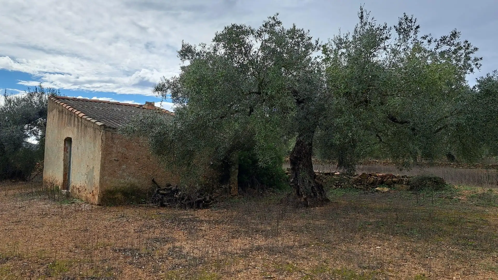 Terreno en venta en Freginals
