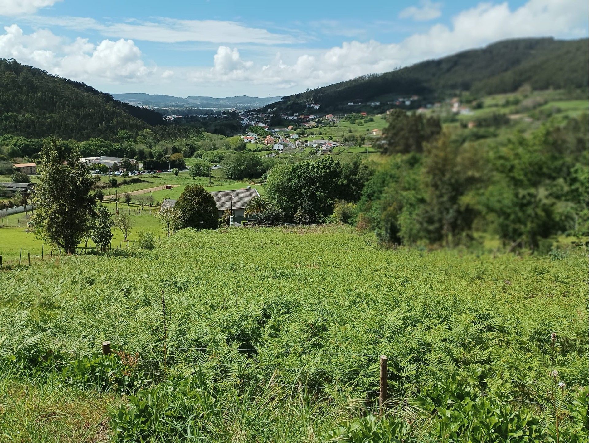 Residencial en venda a Neda