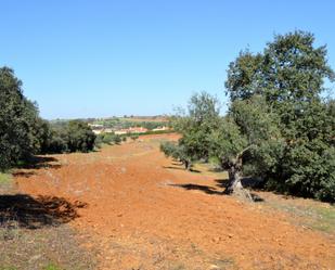 Land for sale in Don Álvaro