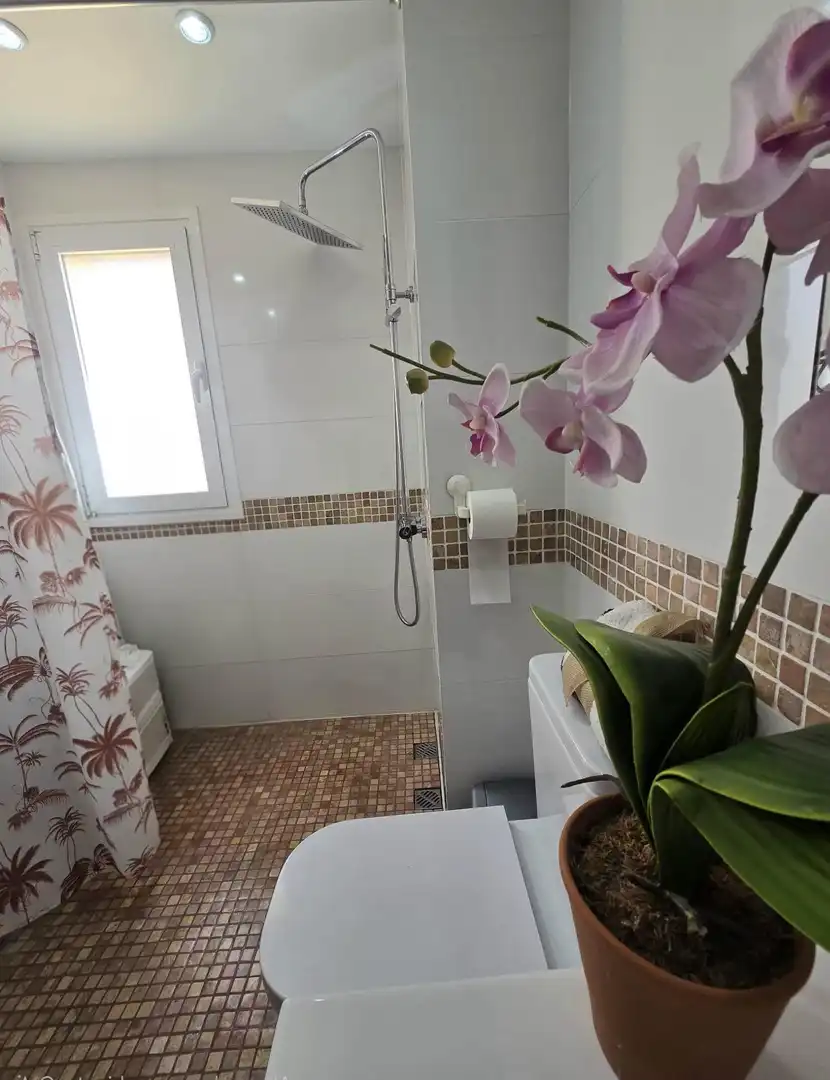 Baño de Piso en venta en Torremolinos con Terraza, Trastero y Amueblado