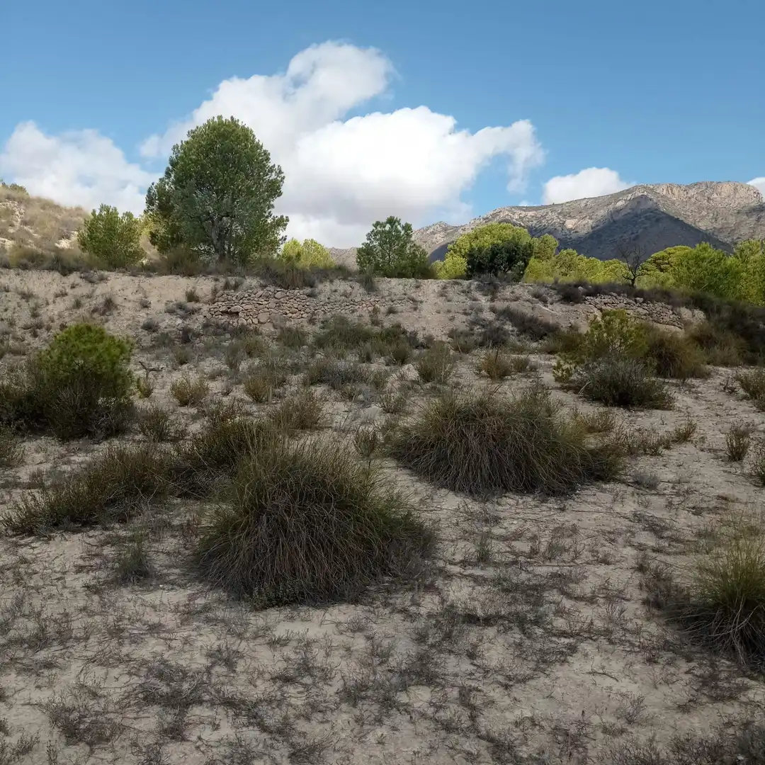 Terrain rustique à vendre à Hondón de las Nieves / El Fondó de les Neus, imagen 21