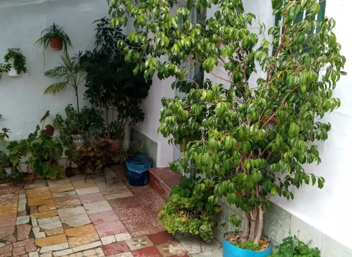 Casa o xalet en venda a Casco antiguo - Convento - Caldereto
