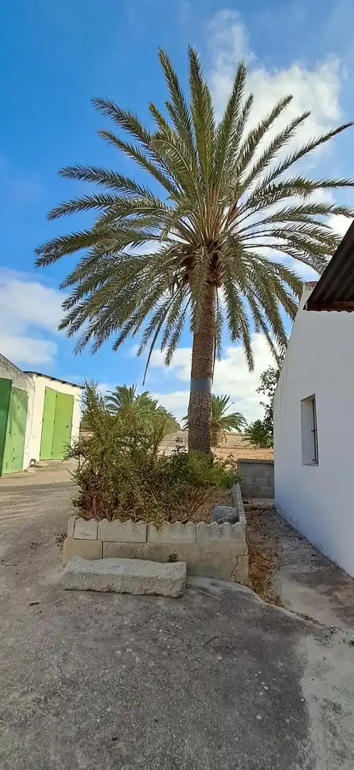 Casa rústica en venda a Arcos de la Frontera, imagen 27