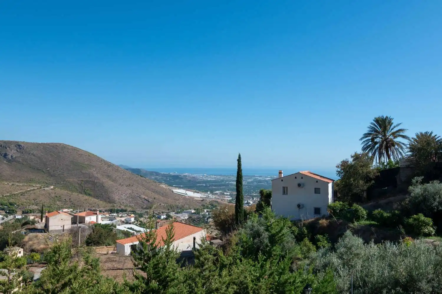 Vista exterior de Casa o chalet en venta en Molvízar con Terraza y Piscina