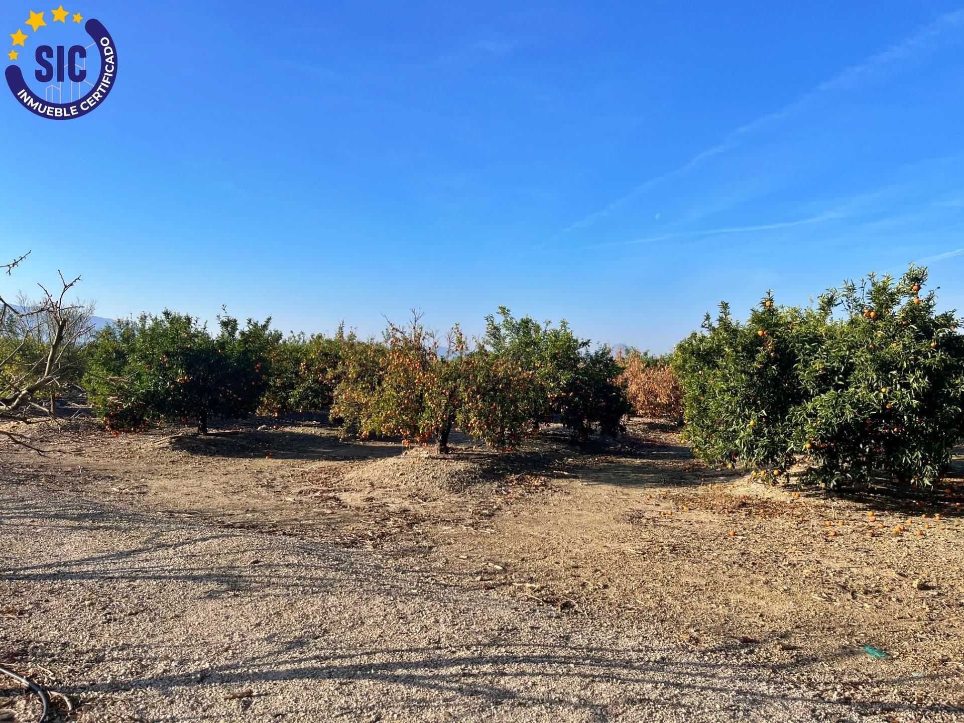 Residencial en venda en Barxeta