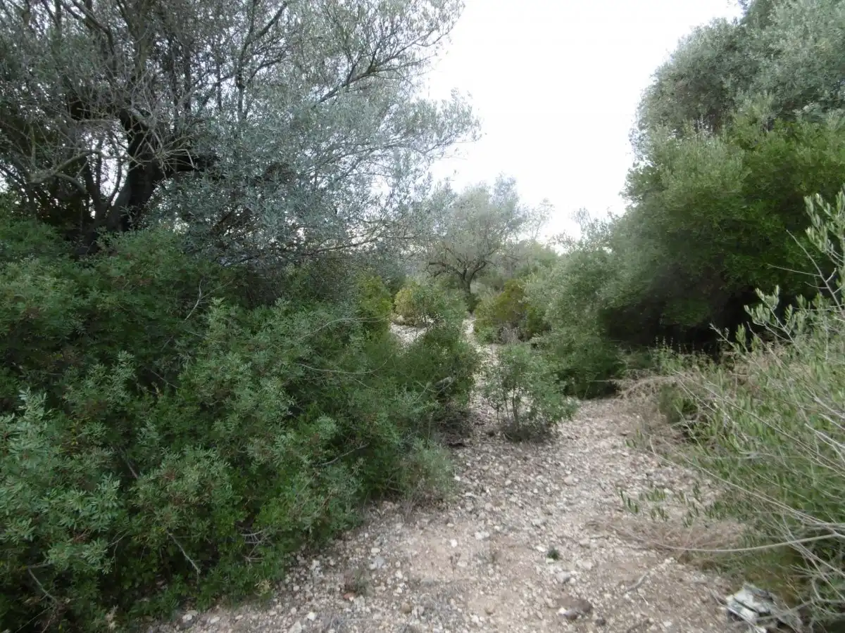 Casa rústica en venda a Vall d'Alba, imagen 9