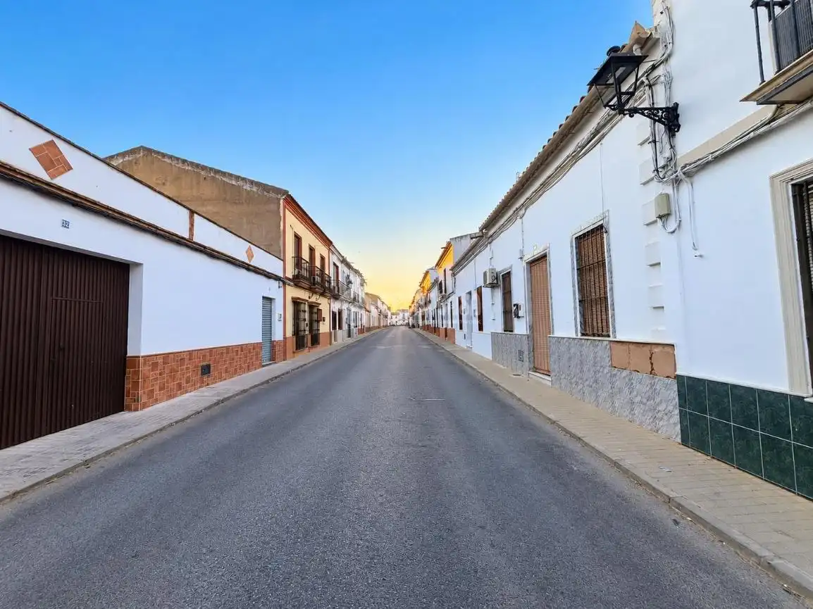 Exterior view of Detached homes for sale in Pilas, Sevilla