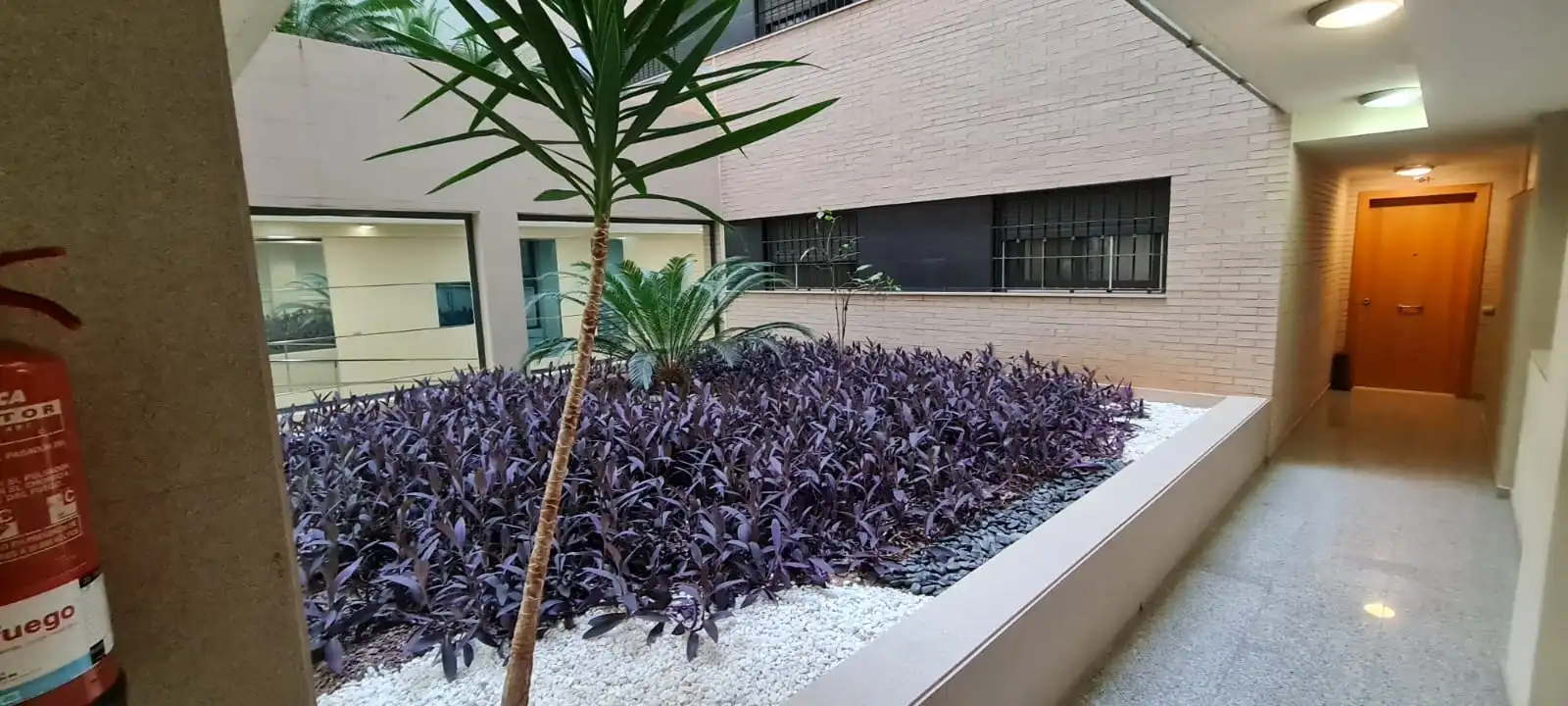 Terrace of Flat for sale in Roquetas de Mar  with Terrace and Community pool
