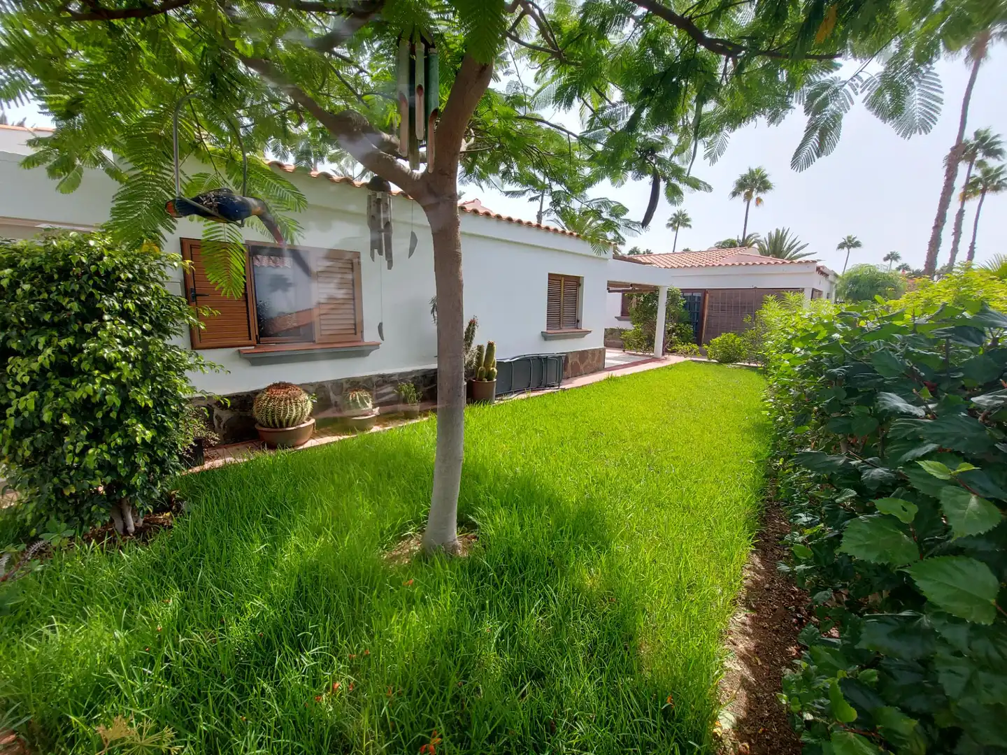 Casa o xalet en venda a Avenida Touroperador Tjaereborg, 59, Maspalomas - Meloneras