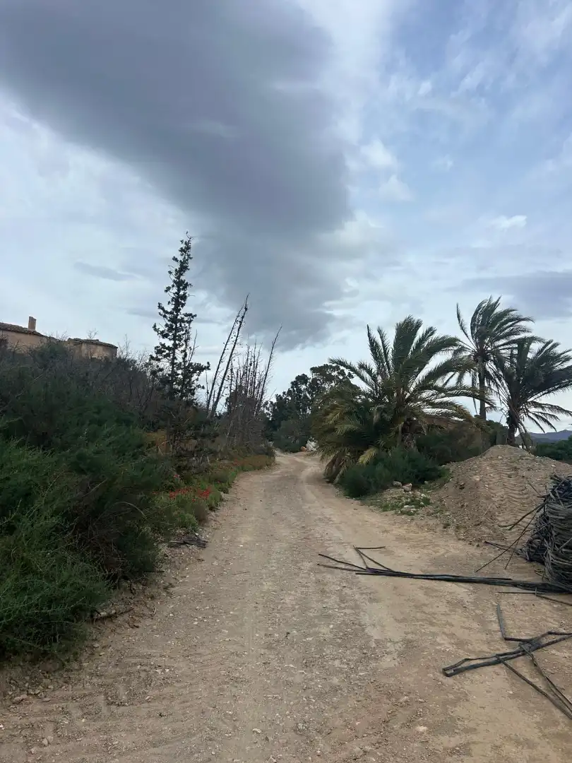 Terreny rústic en venda a Lugar Huerta del Abad 16, imagen 4