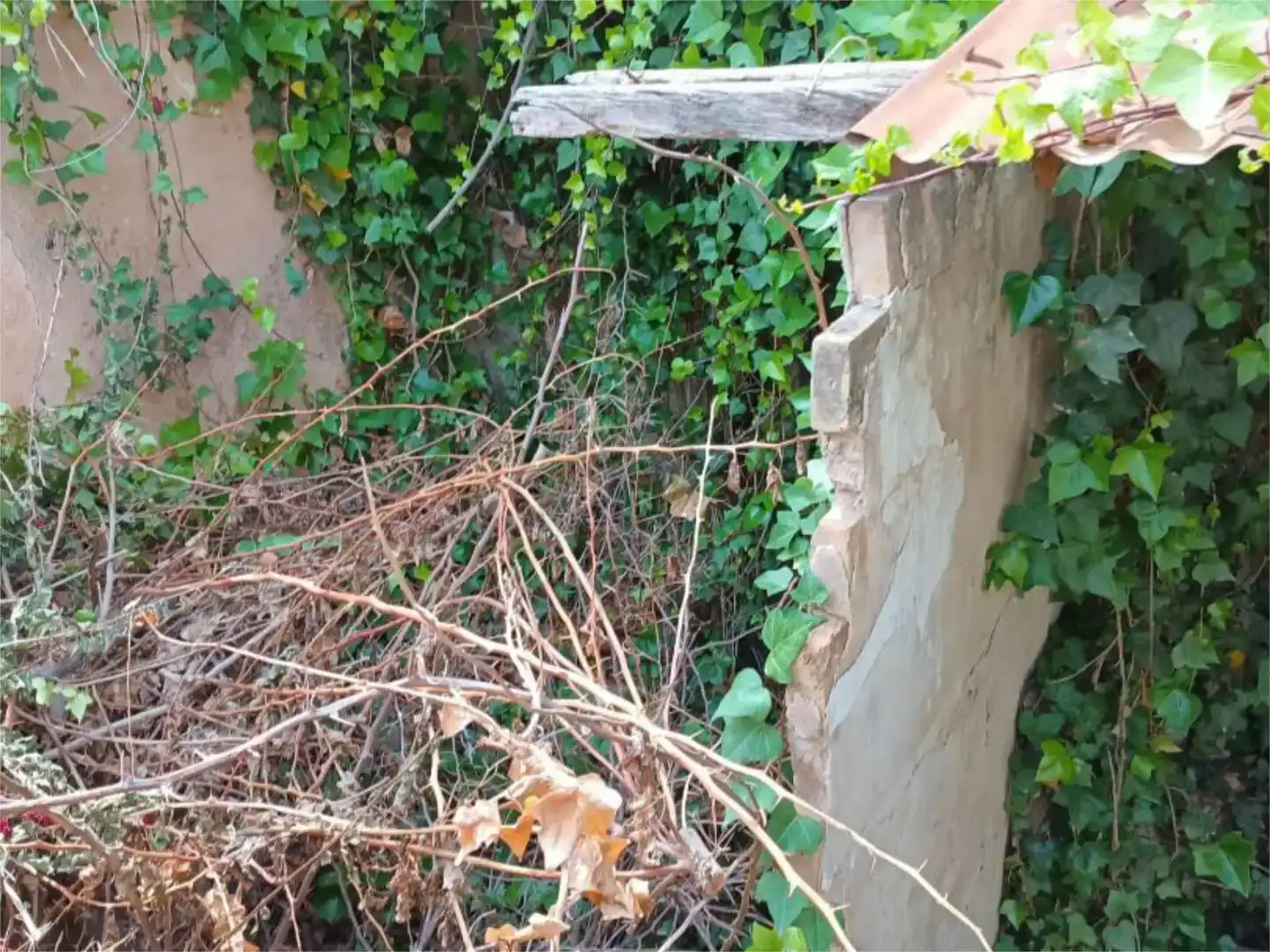 Jardí de Residencial en venda en Benifaió