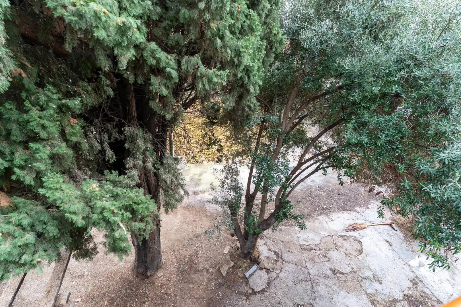 Jardí de Casa o xalet en venda en Sant Vicenç Dels Horts amb Jardí privat