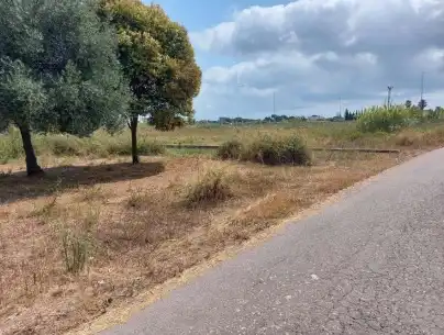 Terreny rústic en venda a PT 26-SU-R, imagen 7