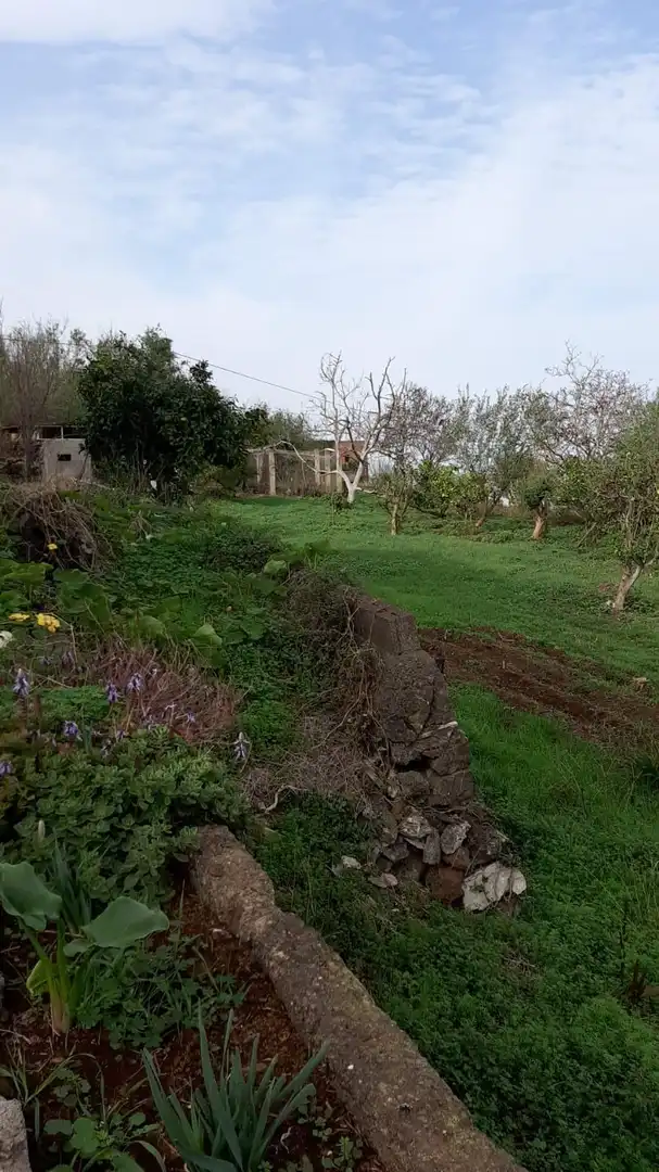 Terreno residenziale in vendita a El Bebedero - Pinolere - Aguamansa, imagen 22