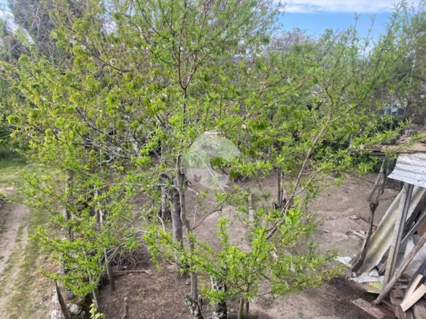 Adossat amb jardí en venda a Amoeiro, imagen 6