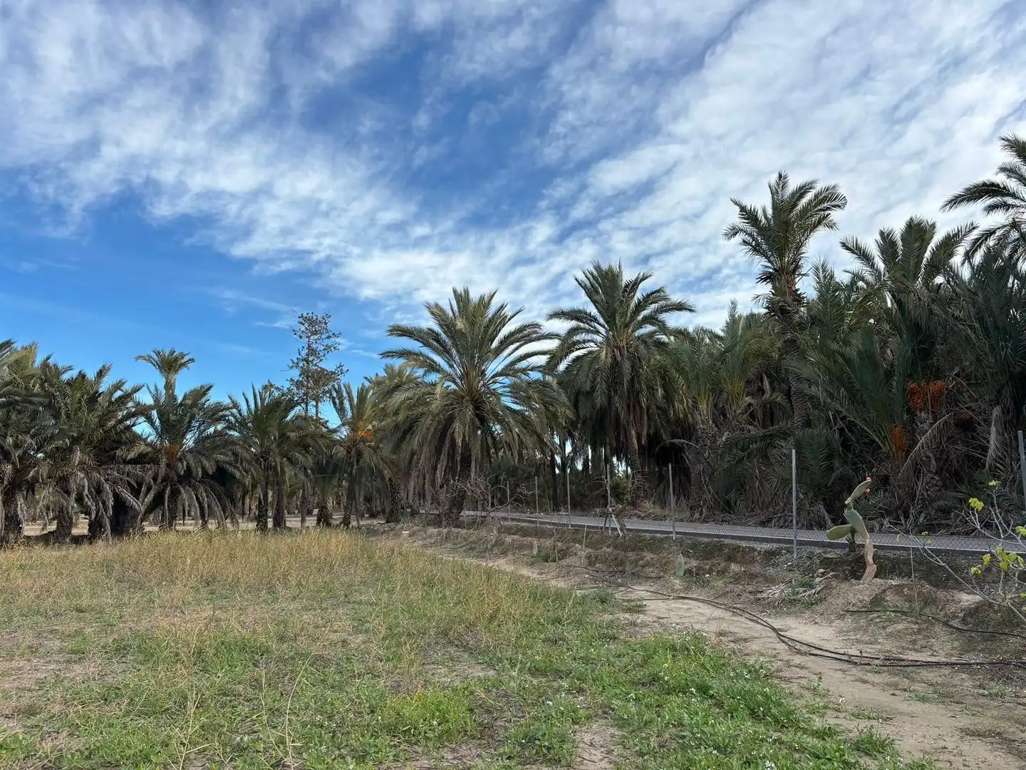 Finca rústica en venda en Elche / Elx