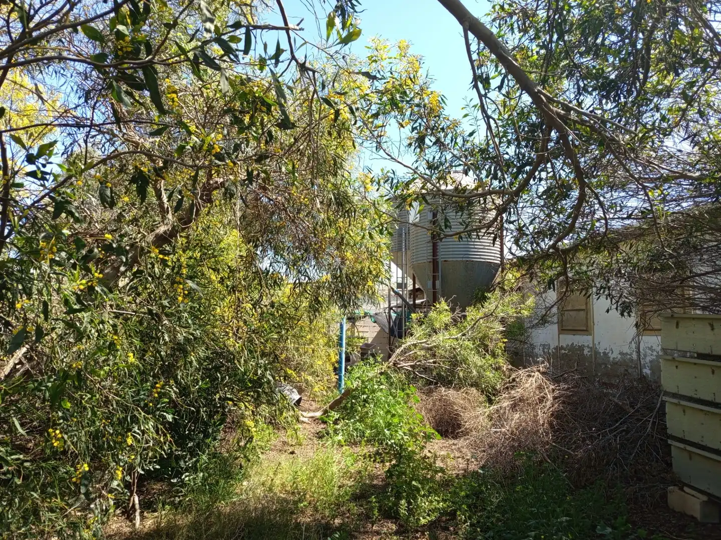 Nave industrial en venta en Fuente Álamo de Murcia