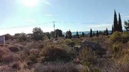 Terreny rústic en venda a Av del Pinar - Ptda Pichell -, imagen 6