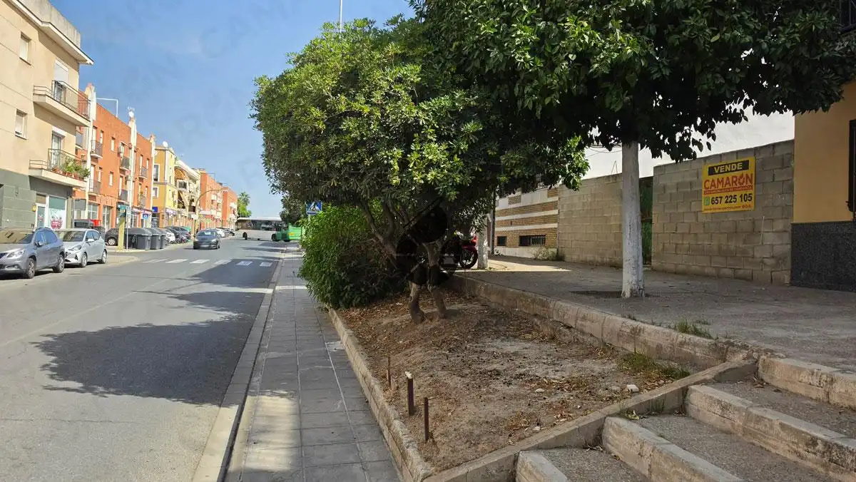 Lands and plots for sale in Avenida Palomares
