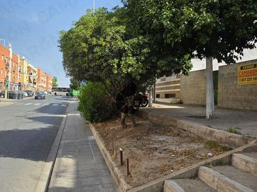 Terrenos y solares en venta en Avenida Palomares