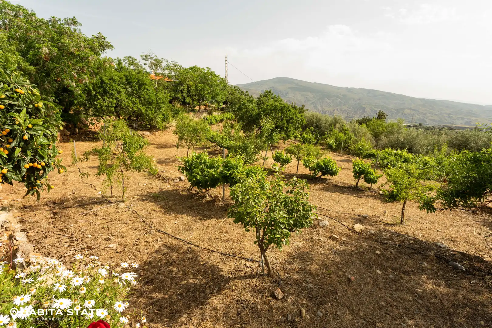 Finca rústica en venda en Canjáyar amb Jardí privat i Moblat