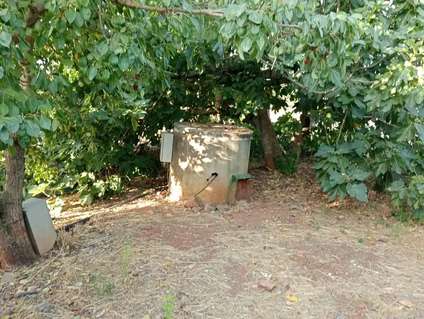 Jardín de Casa o chalet en venta en Guadalcázar