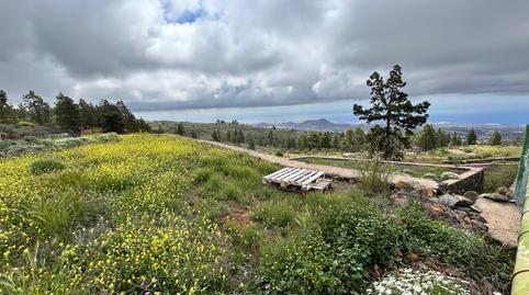 Foto 3 de Finca rústica en venda a Camino de Jama, 3, Tamaide - El Roque, San Miguel de Abona