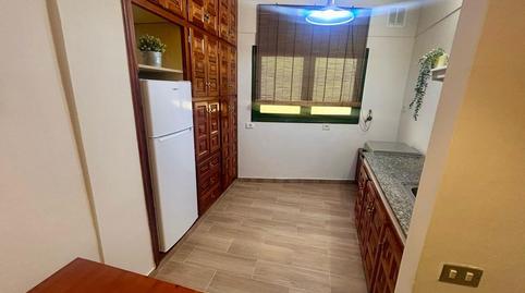 Photo 4 of House or chalet for rent in Ceres, Anaga,  Santa Cruz de Tenerife Capital