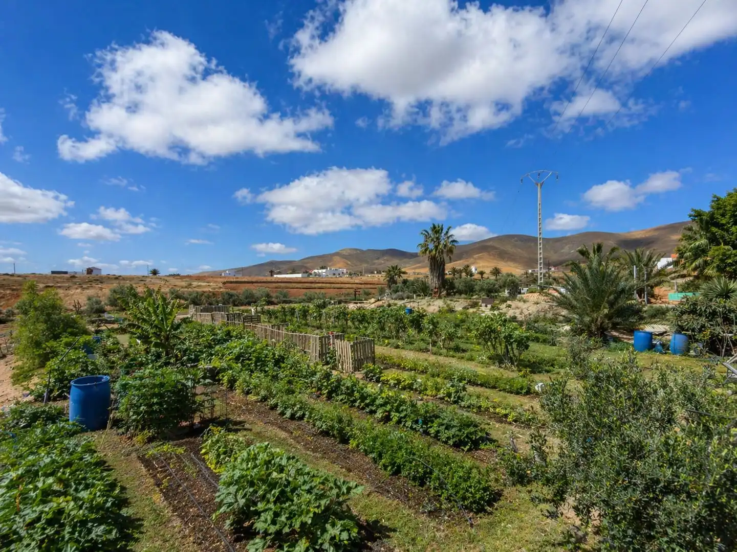 Garden of Country homes for sale in Antigua pueblo