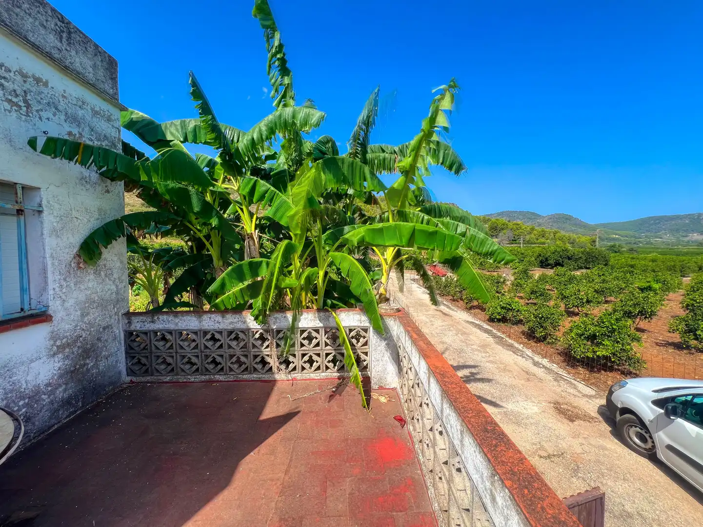 House for sale in Oliva pueblo, imagen 5