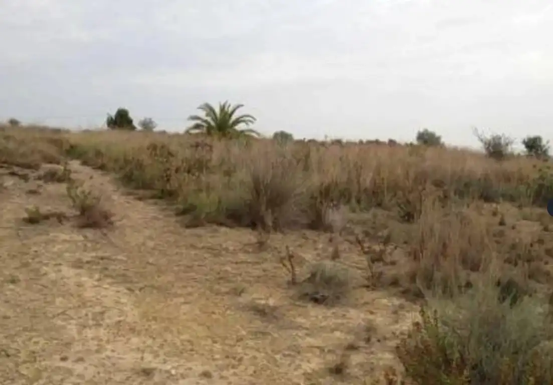 Terreny rústic en venda a Montroi / Montroy, imagen 2