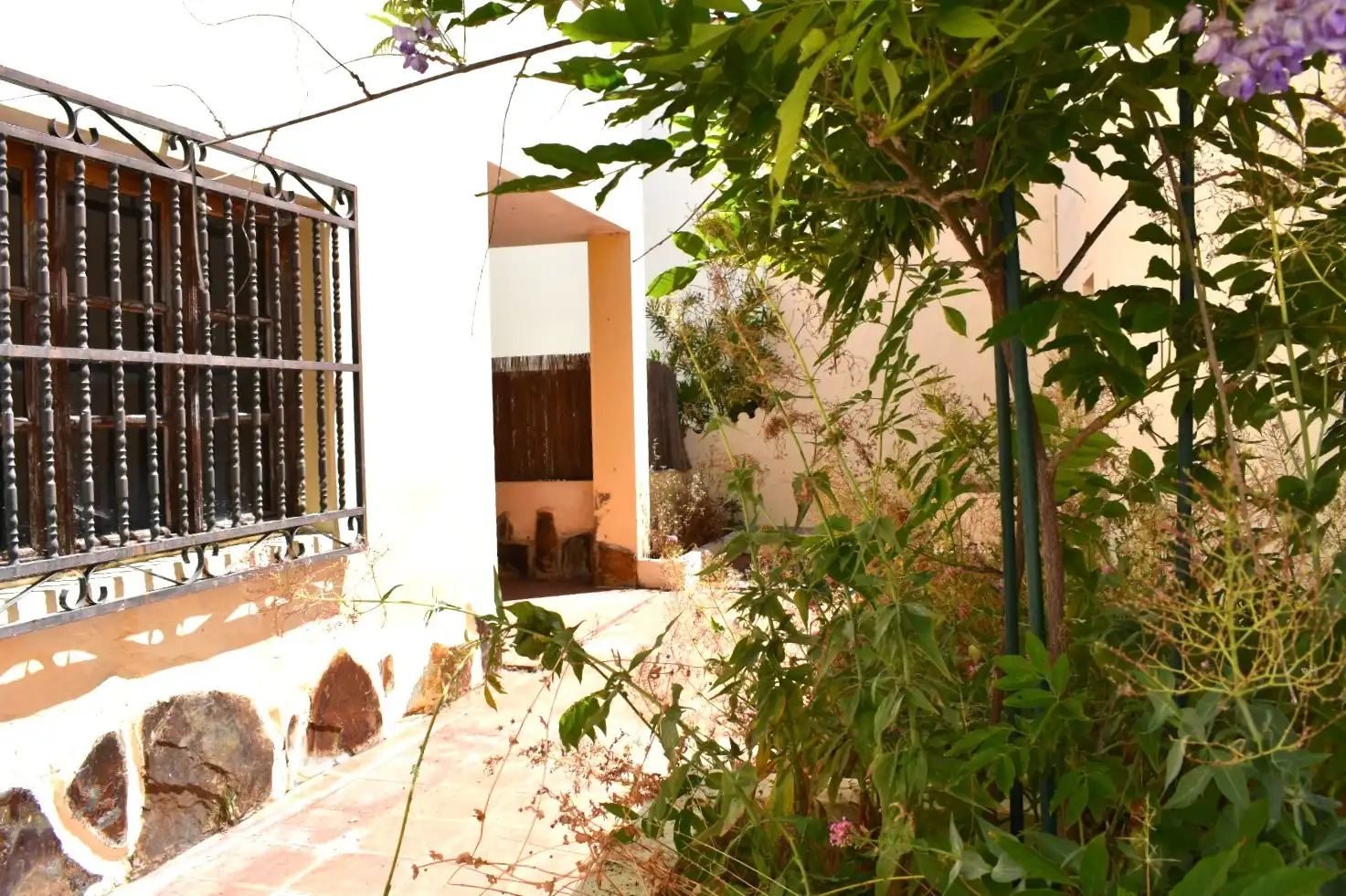 Jardí de Casa o xalet en venda en Las Palmas de Gran Canaria amb Jardí privat, Terrassa i Balcó