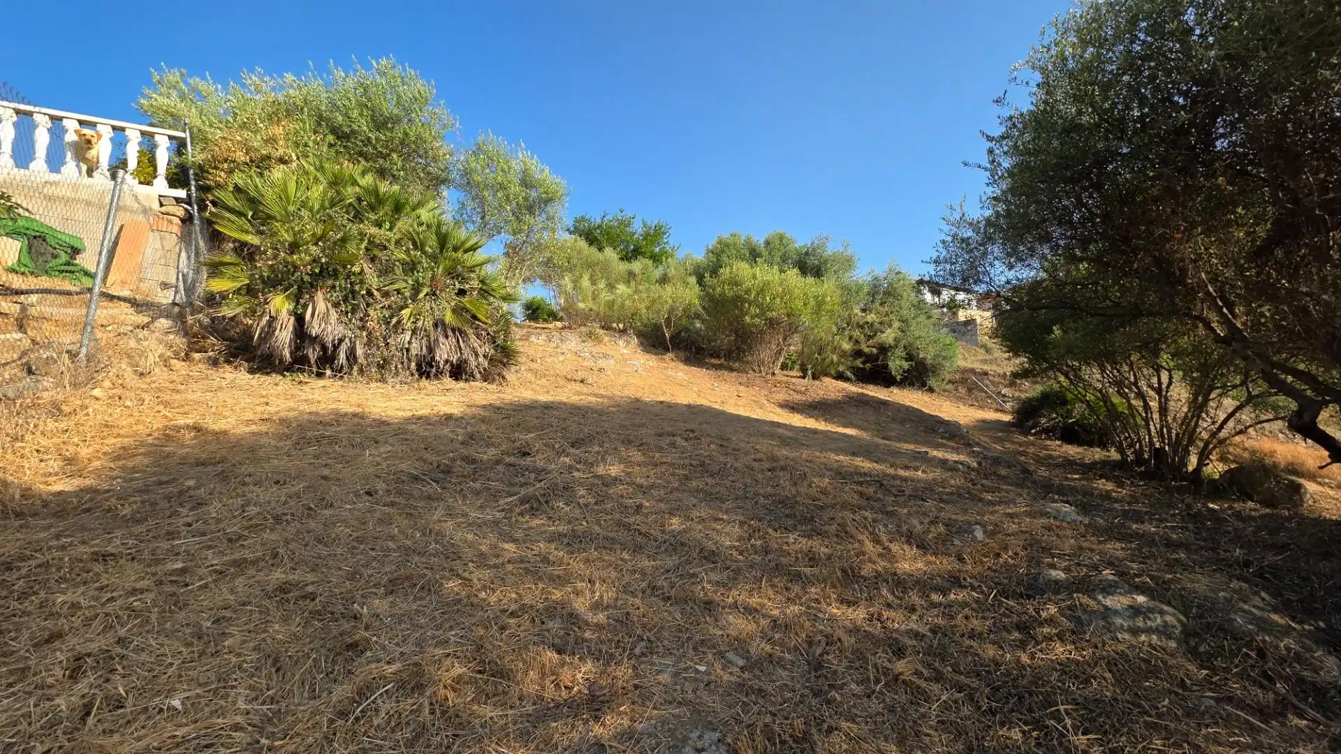 Residencial en venda en Almodóvar del Río