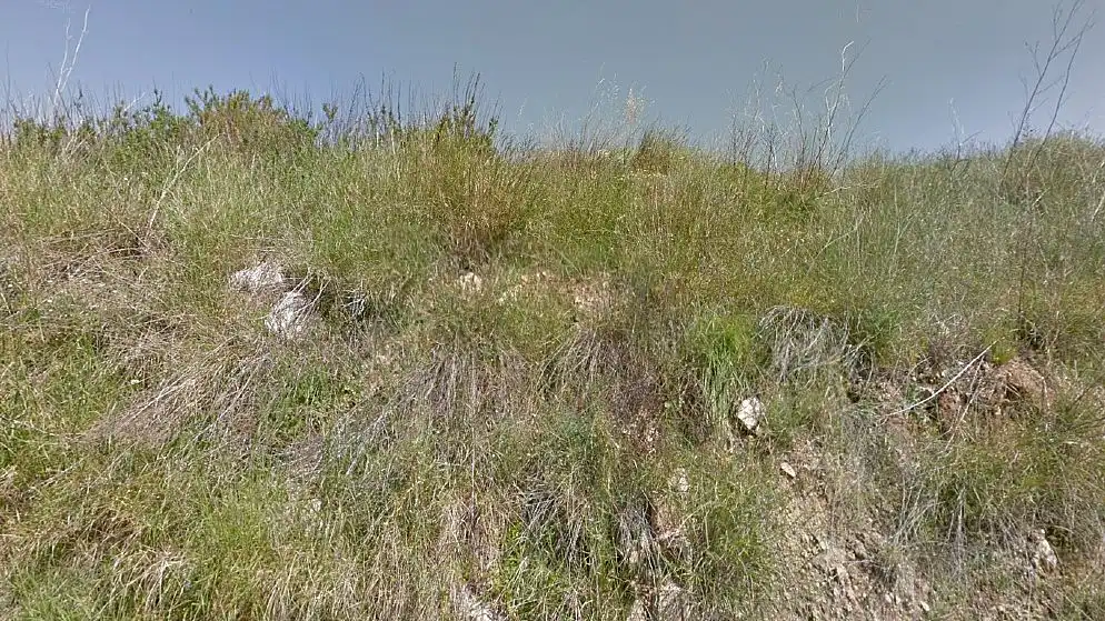 Rural land for sale in Lg Polígono 7, Parcela 75, El Pinar Carcer, imagen 6
