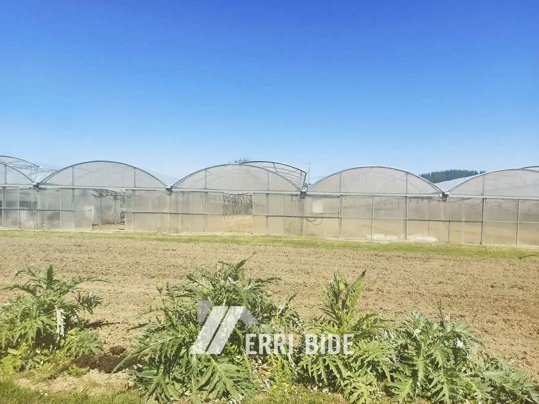 Jardín de Terreno en venta en Gamiz-Fika